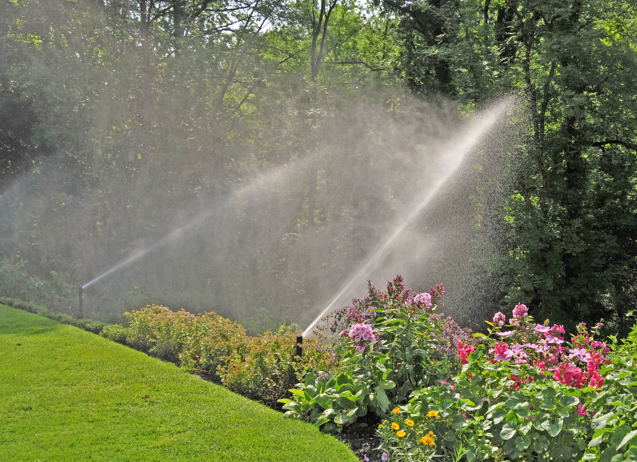 Strauch Rabatte Strauchrabatte  Bewässerung Regner Garten Wiese Rasen Blumen