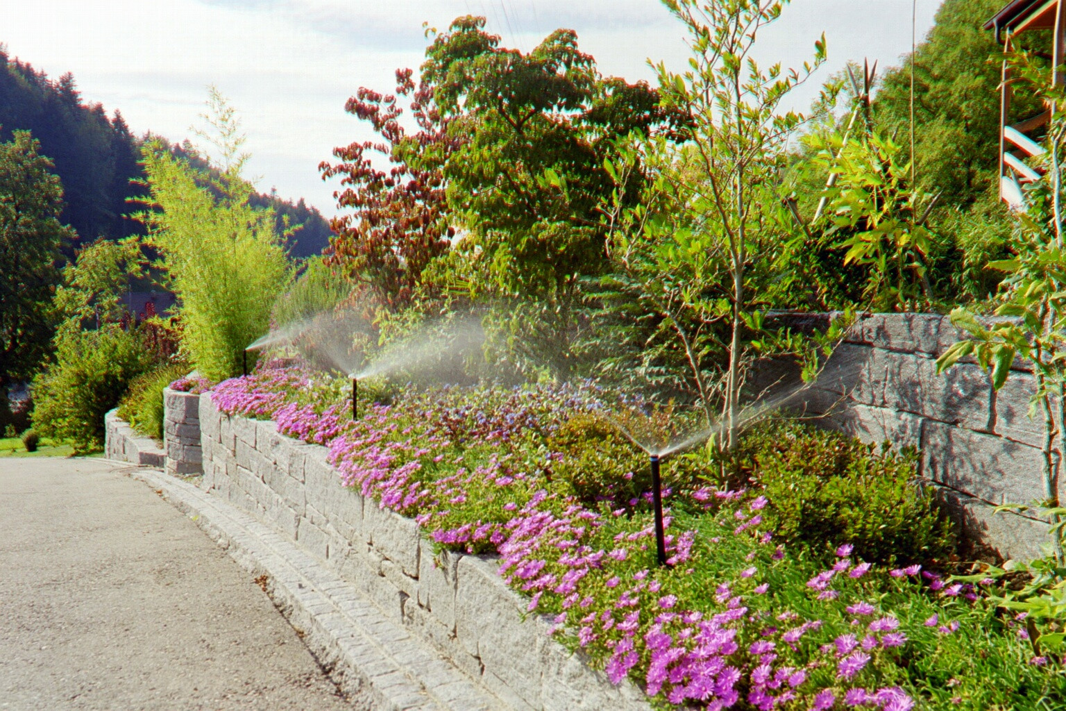 Rabatte Blumenrabatte Regner Bewässerung Steinmaur Mauer 